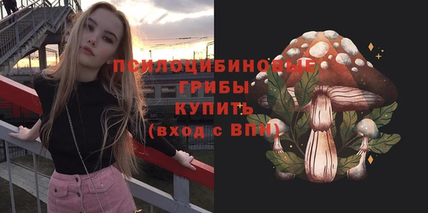 mdma Горнозаводск