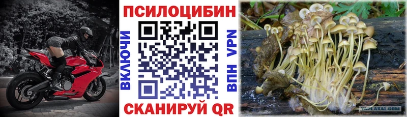 Галлюциногенные грибы Cubensis  Нахабино 